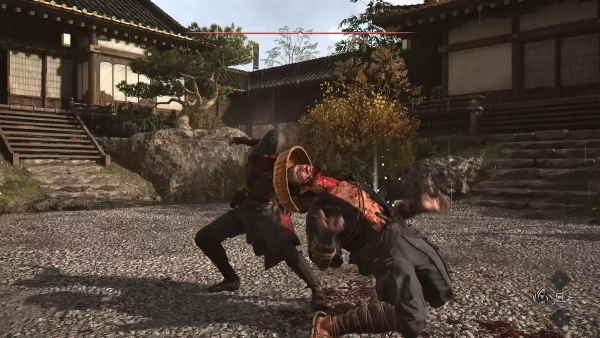Multiplayer experience and side missions