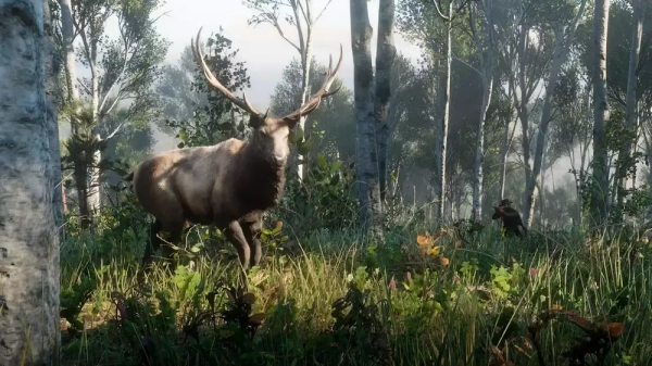 The Story of Red Dead Redemption 2 Environment and Nature Conservation